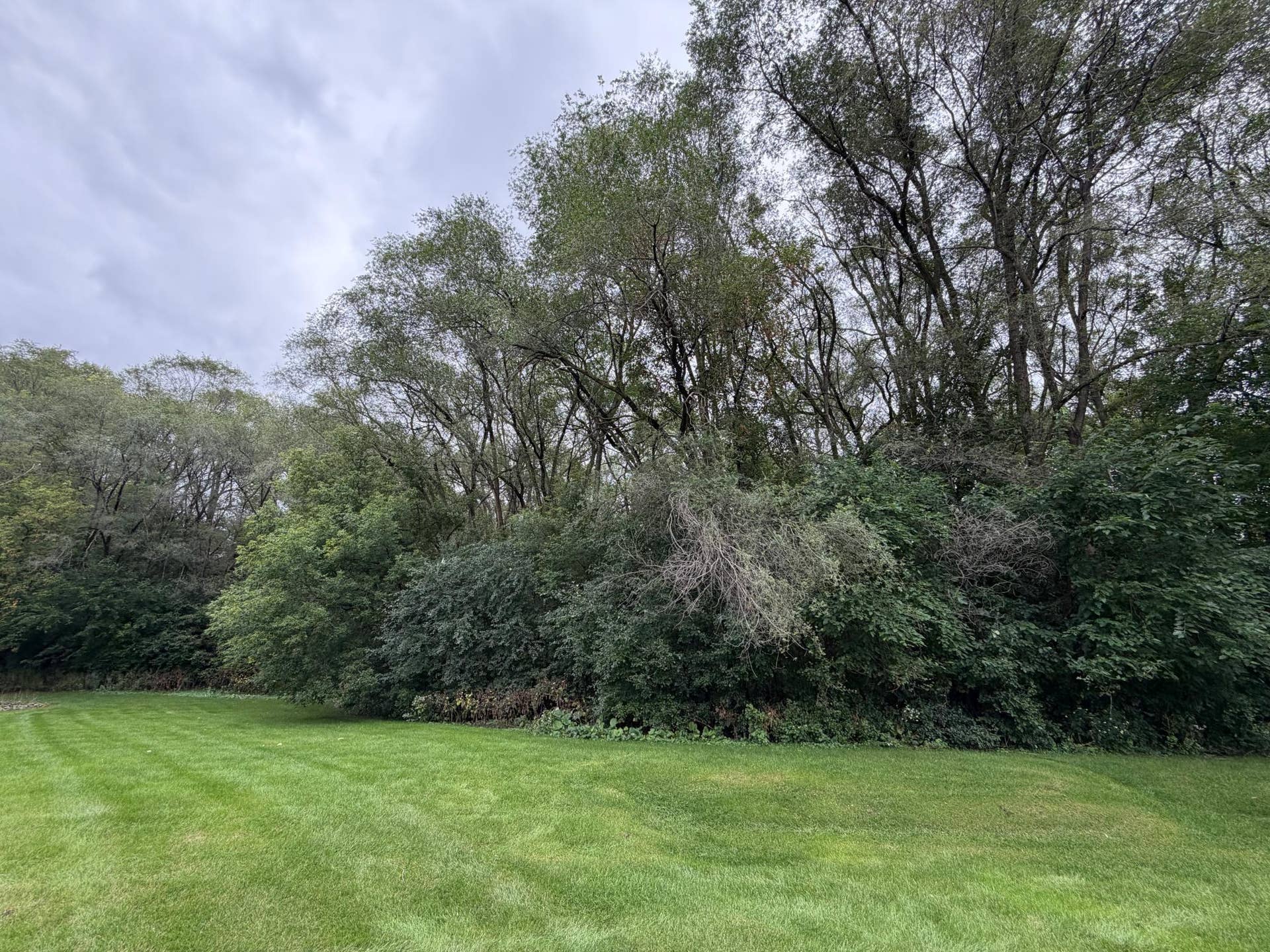 1570 Wheelock Lane, #104, 97, Saint Paul, MN 55117 1570 Wheelock Lane, #104, 97, Saint Paul, MN 55117
