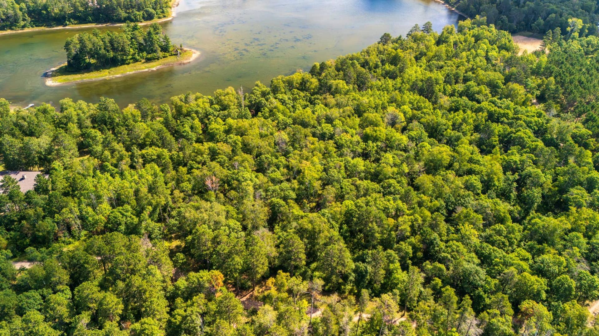 Lot 8 Park Preserve Trail NE, Bemidji, MN 56601 Button Lake Island.jpeg