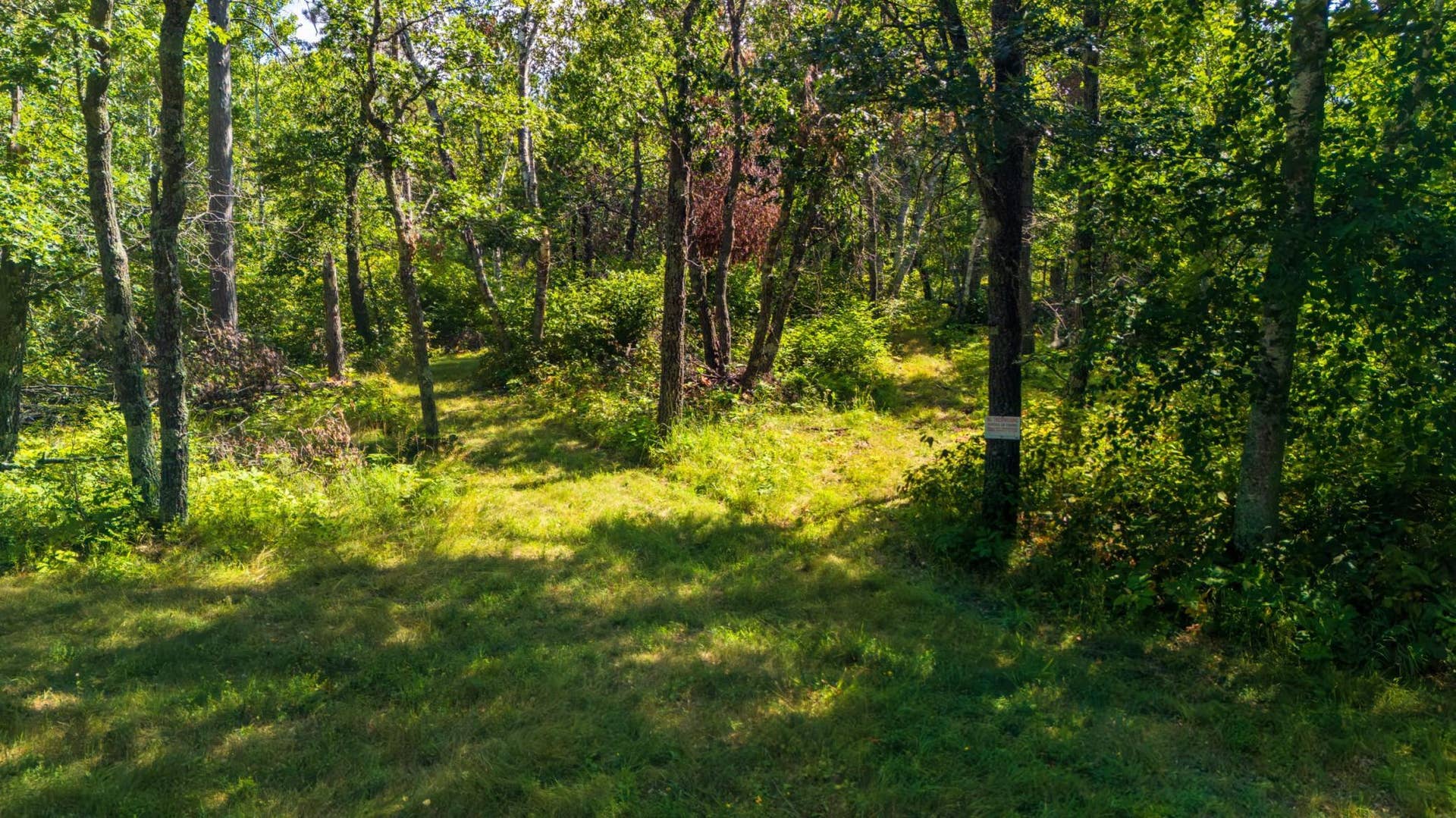 Lot 8 Park Preserve Trail NE, Bemidji, MN 56601 Trail - Lot 8.jpeg