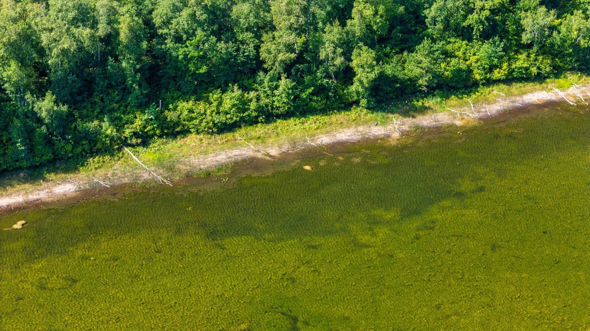 Lot 8 Park Preserve Trail NE, Bemidji, MN 56601 Sandy Bottom.jpeg