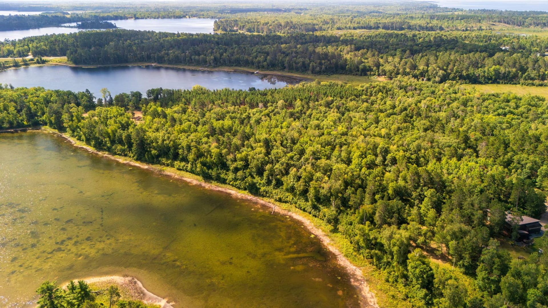 Lot 9 Park Preserve Trail NE, Bemidji, MN 56601 Button Lake Shoreline.jpeg