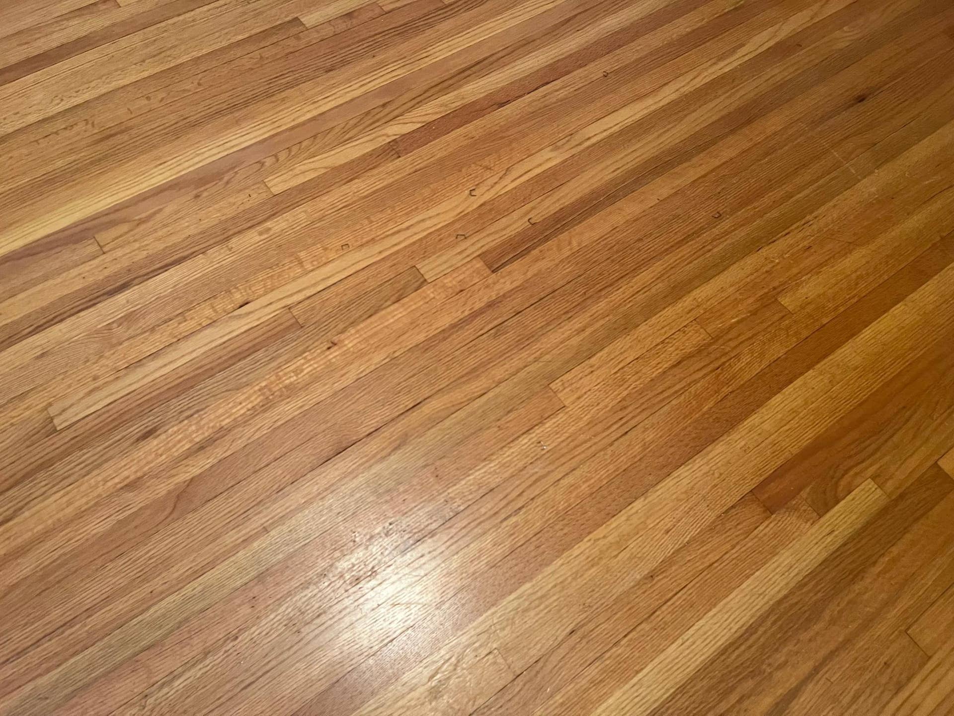 2931 Cedar Knoll Court, Minnetonka, MN 55305 Wood floor detail underneath the carpet in the Bedrooms.
