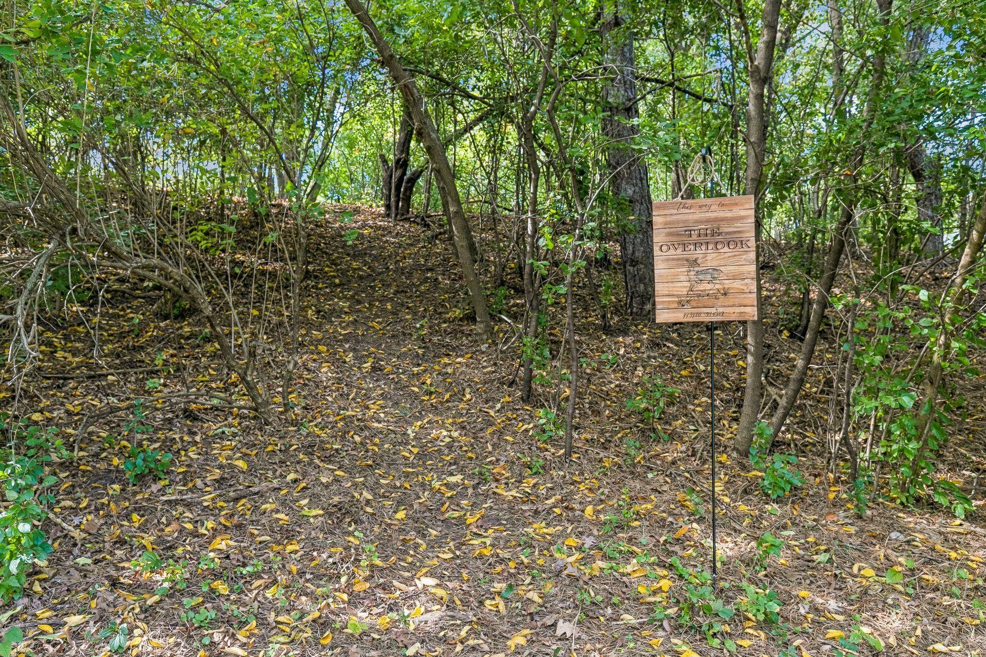 2931 Cedar Knoll Court, Minnetonka, MN 55305 Take the trail to "The Overlook!"
