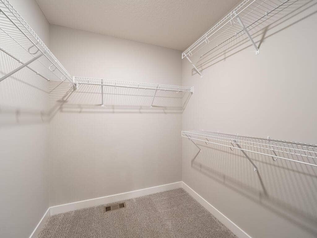 10691 Bent Pine Lane, Woodbury, MN 55129 10691 Bent Pne Ln Woodbury MN 55129 USA-027-027-Closet-MLS_Size.jpg