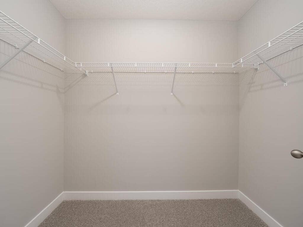 10691 Bent Pine Lane, Woodbury, MN 55129 10691 Bent Pne Ln Woodbury MN 55129 USA-034-032-Closet-MLS_Size.jpg