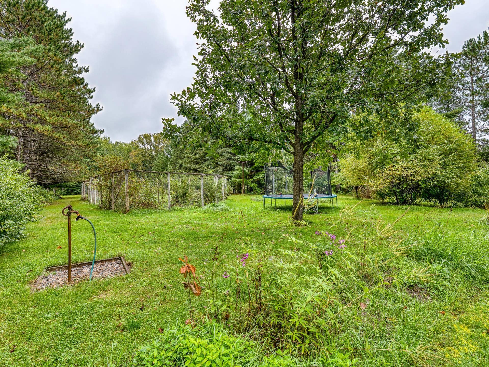 11081 Hillcrest Drive NE, Bemidji, MN 56601 Large Garden and 3 outdoor spigots to water.