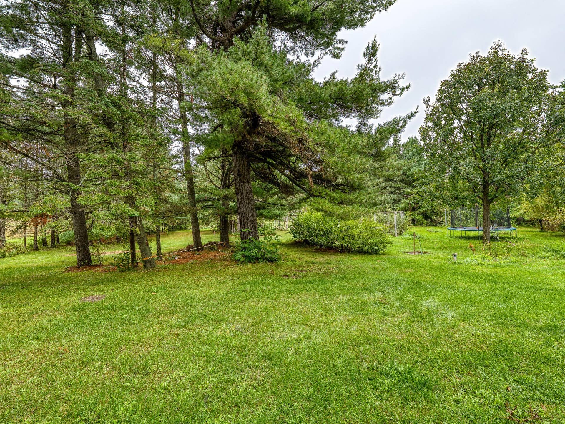 11081 Hillcrest Drive NE, Bemidji, MN 56601 So much Space!!!