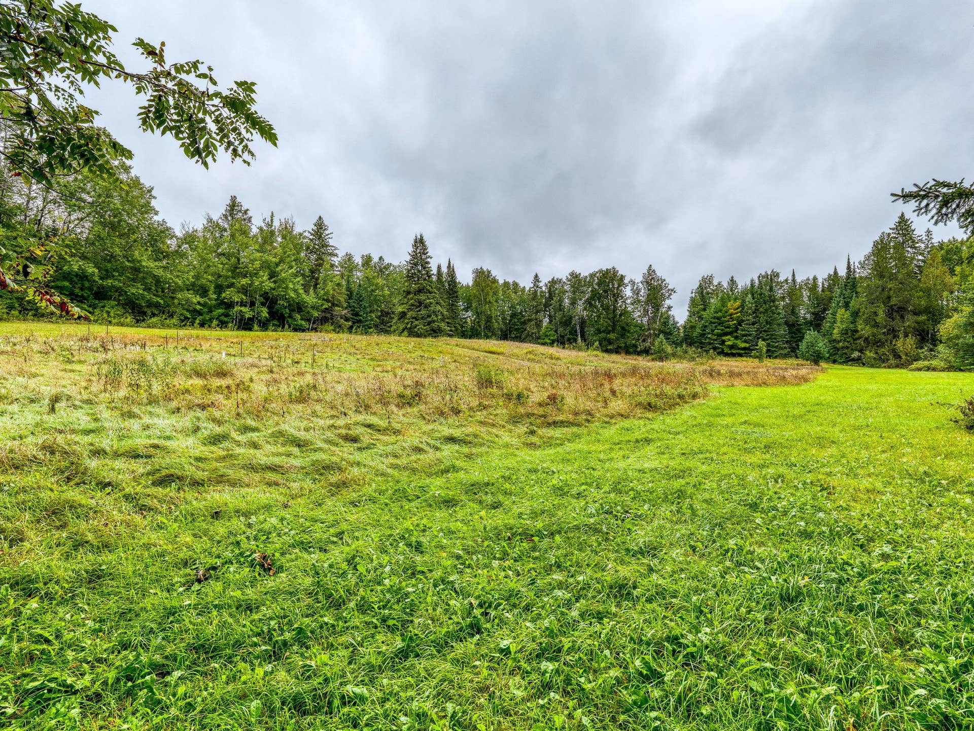 11081 Hillcrest Drive NE, Bemidji, MN 56601 Gorgeous Acreage!