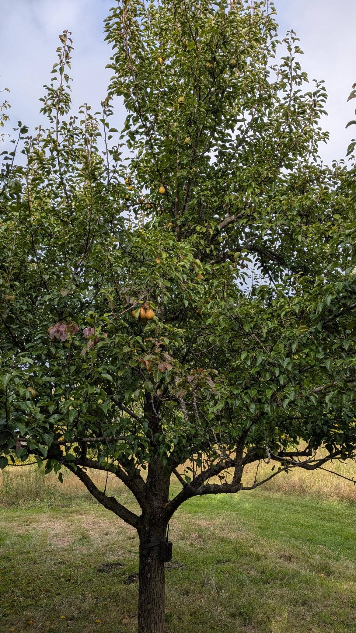 361 Oak Knoll Drive, Marine On Saint Croix, MN 55047 4751.jpg