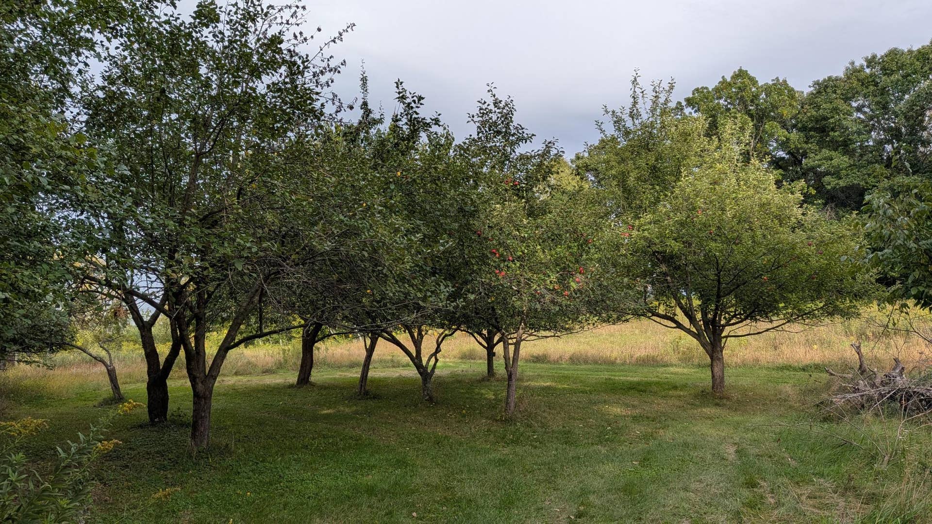 361 Oak Knoll Drive, Marine On Saint Croix, MN 55047 4750.jpg
