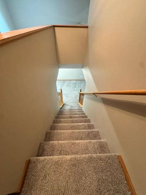 image6.jpeg