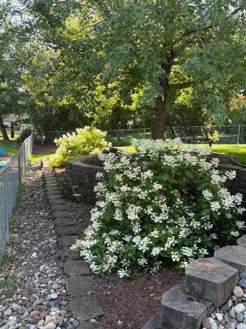 8821 Rainier Court, Woodbury, MN 55125 IMG_6691.jpeg