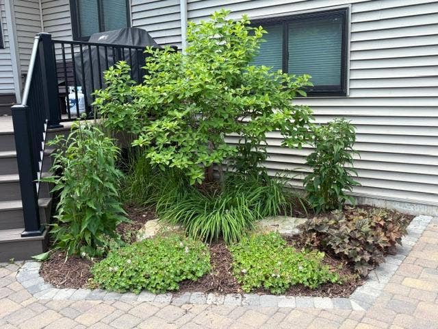 8821 Rainier Court, Woodbury, MN 55125 IMG_6668.jpeg