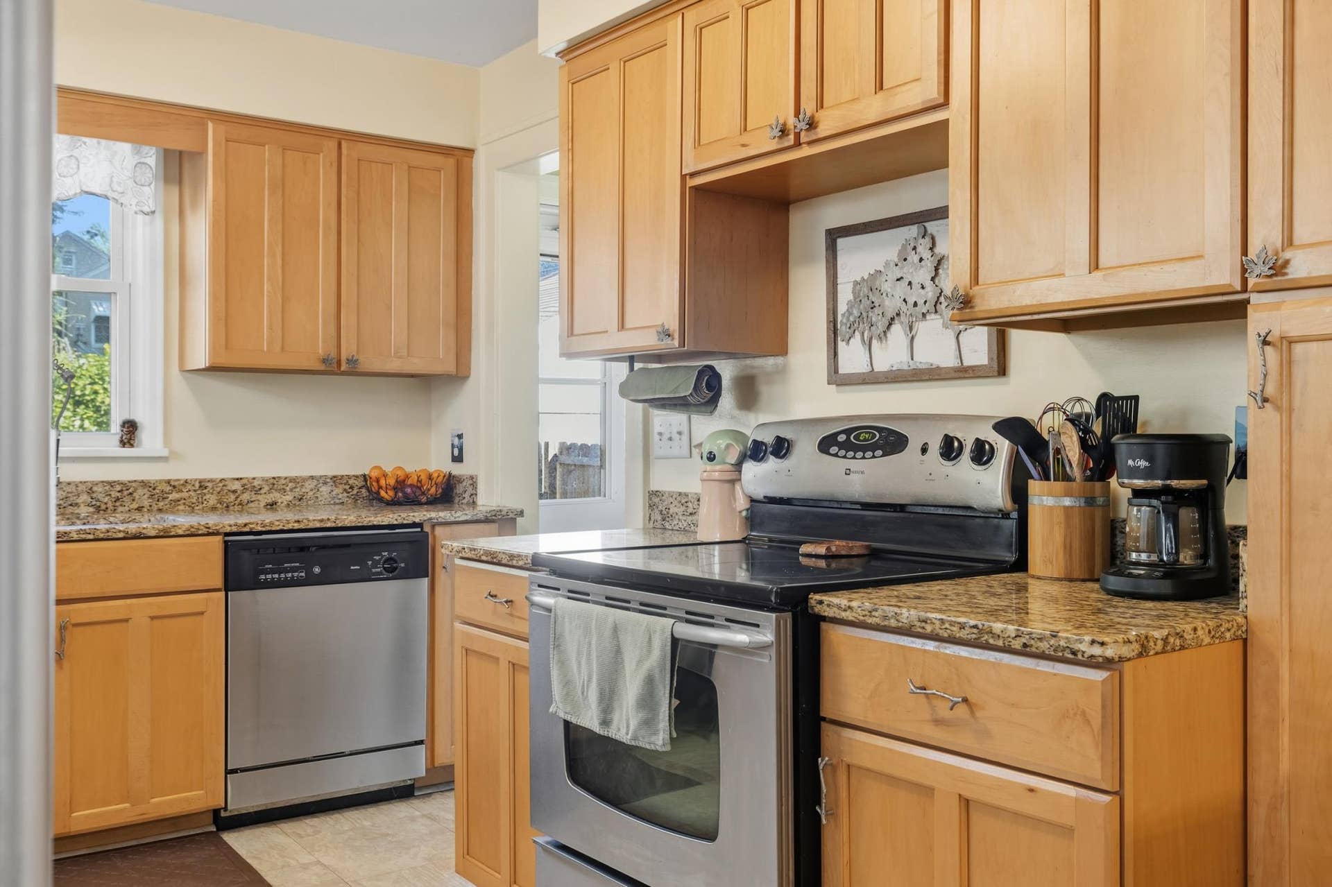 Stainless Steel Appliances