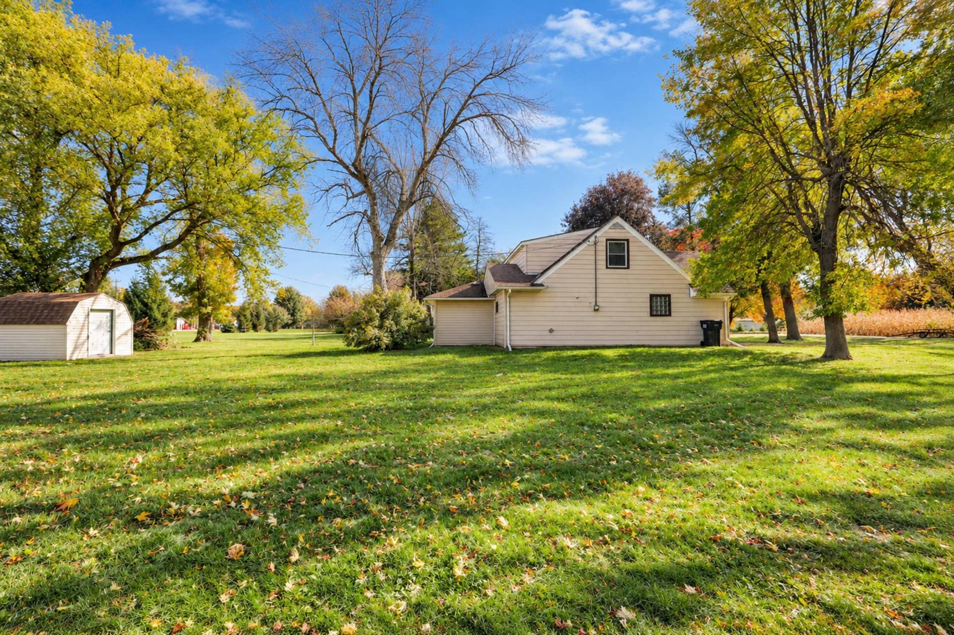 105 Amsterdam Avenue W, Hollandale, MN 56045 side yard view.jpg