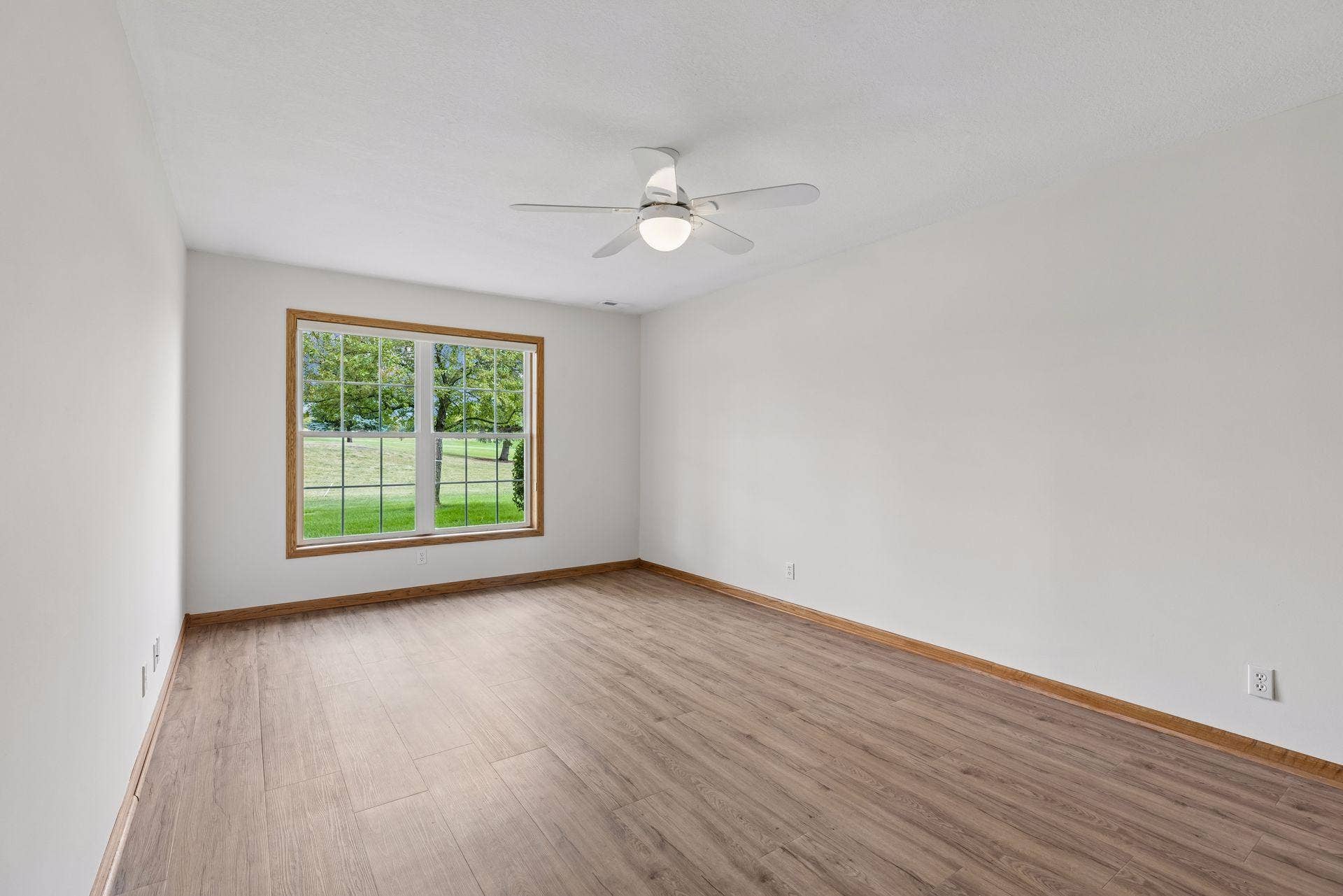 Lower level 3rd Bedroom