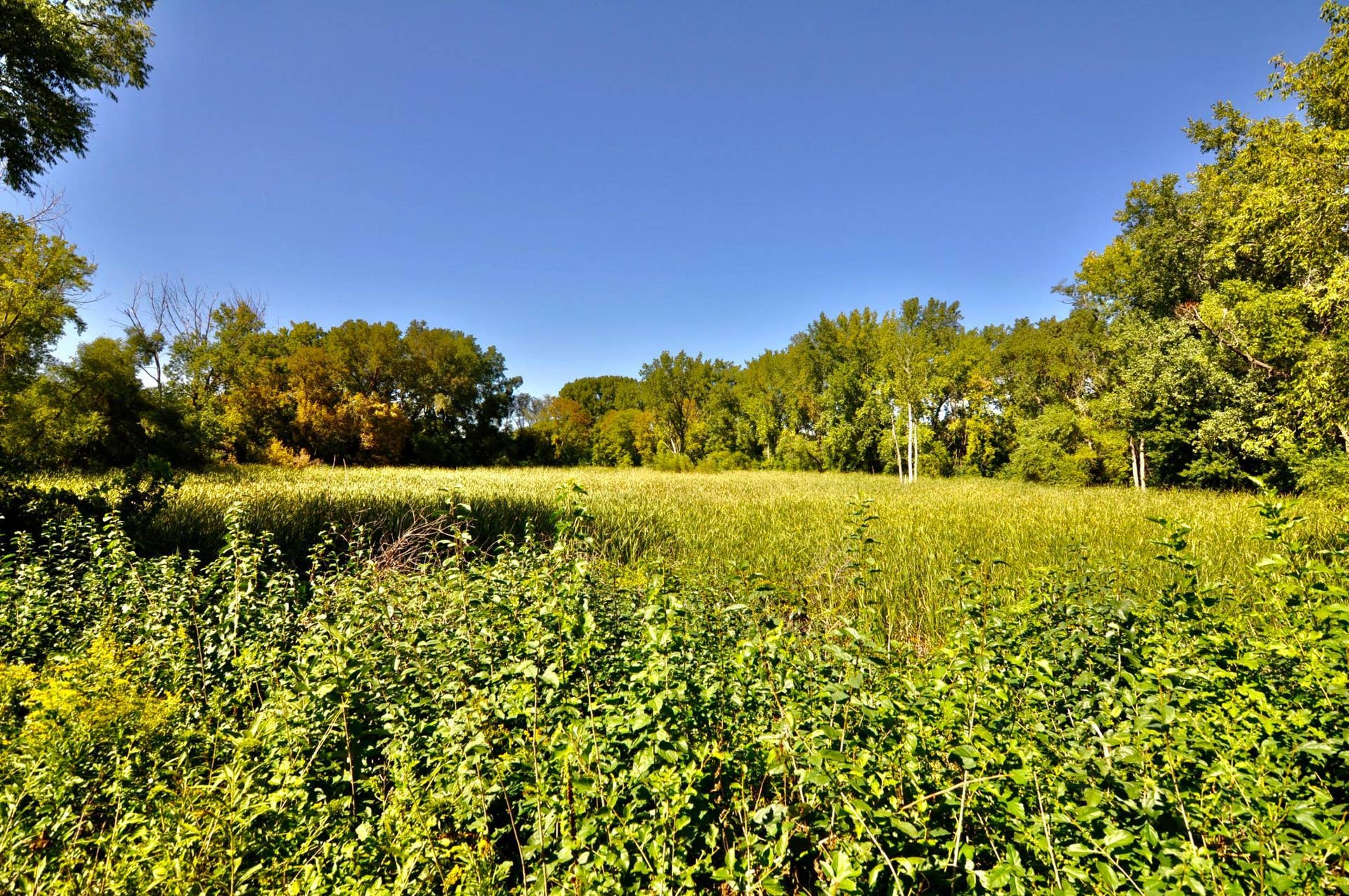 5845 Lake Curve Lane, Brooklyn Center, MN 55429 DSC_0096.jpeg