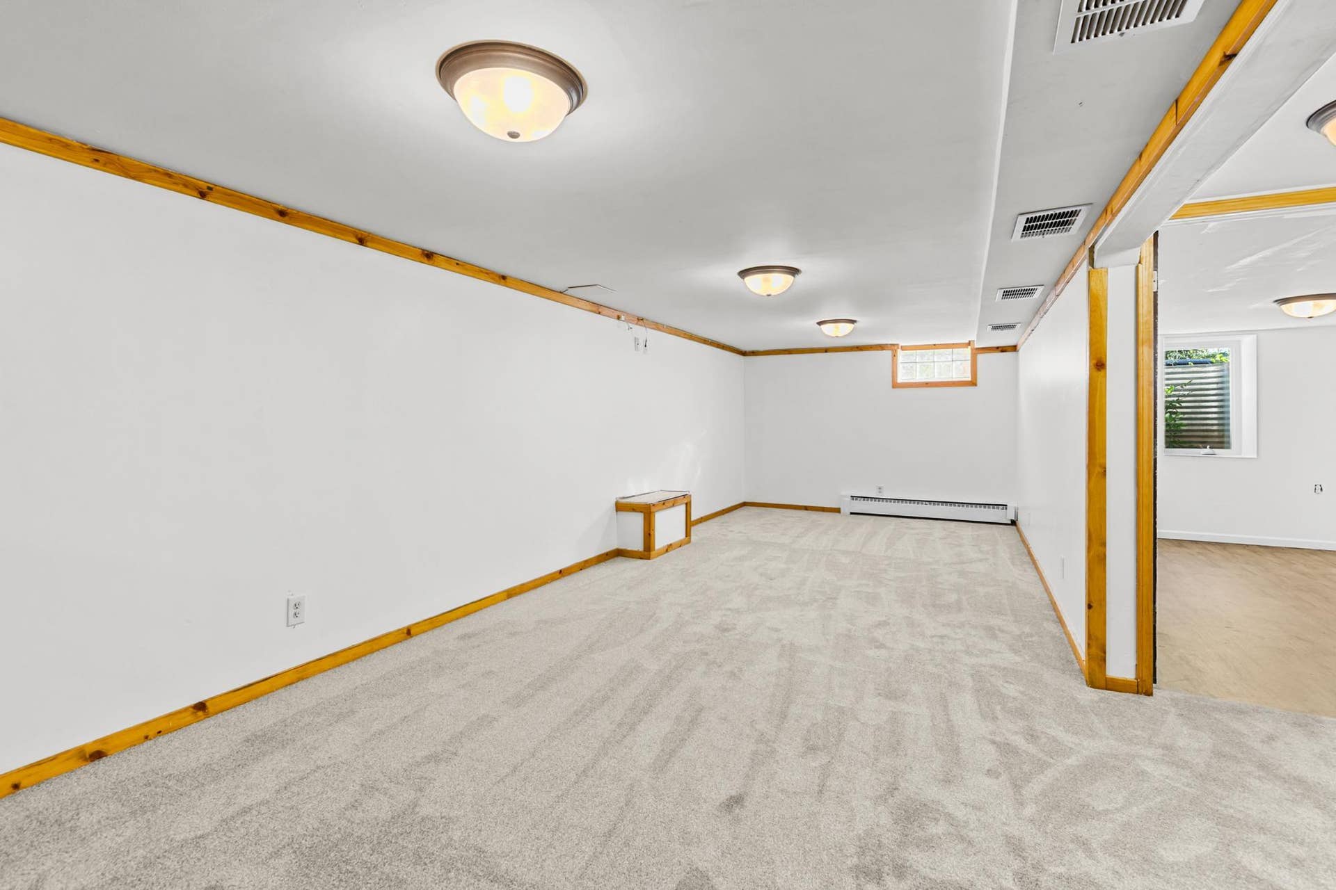 Lower level family room with all new carpet!