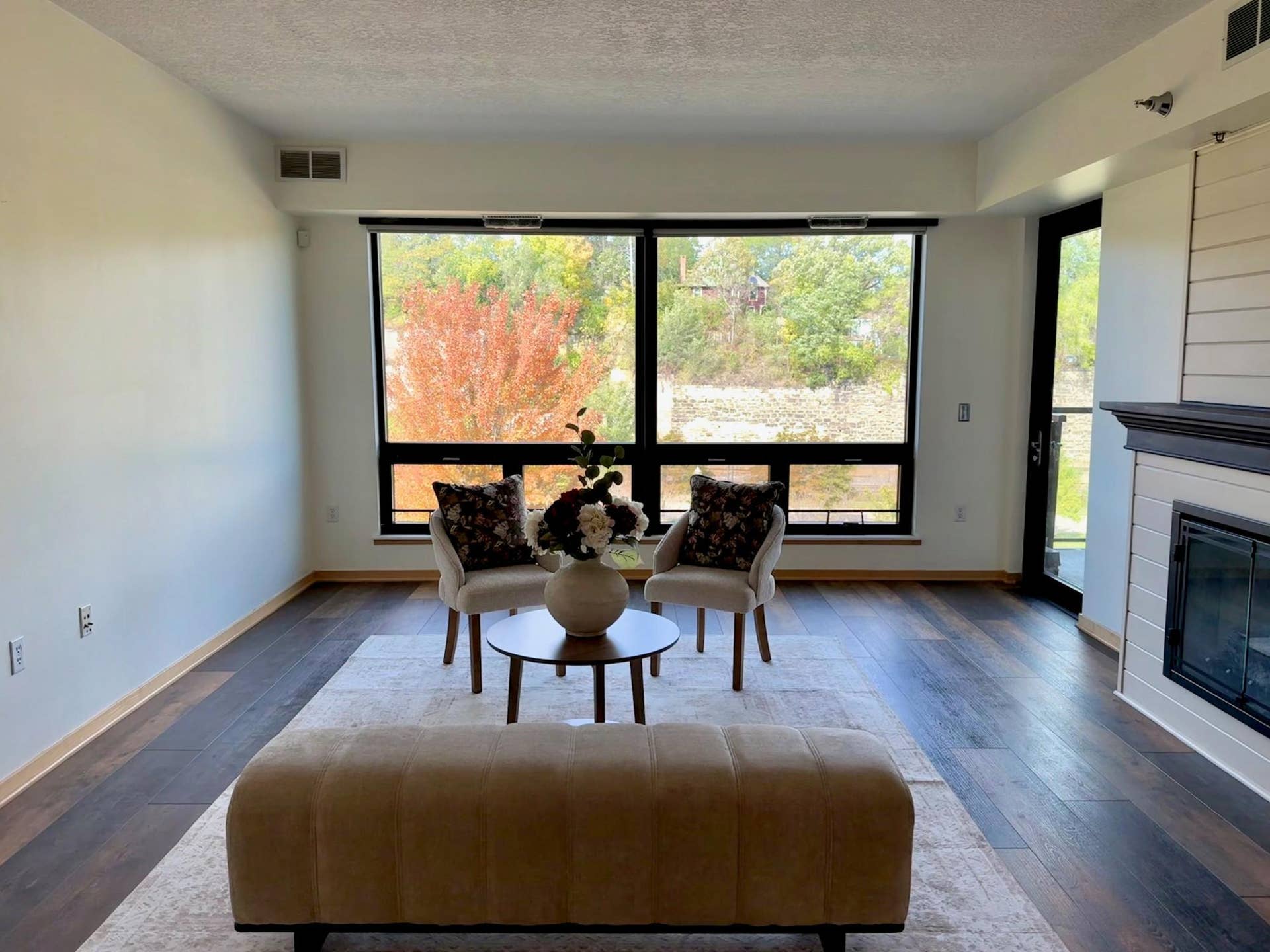 Living Room and View - Staged.jpg