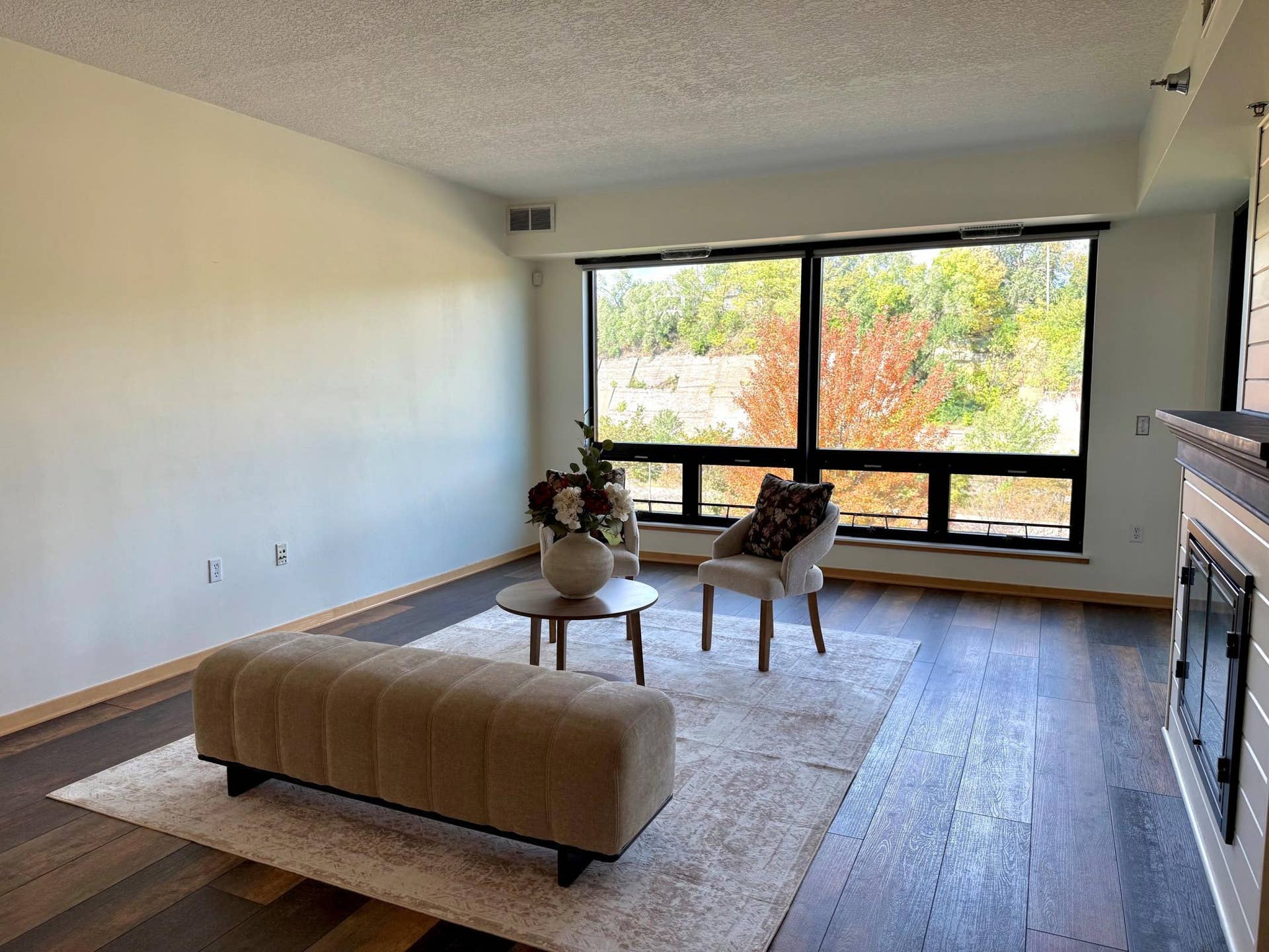 Living Room and View 3 - Staged.jpg