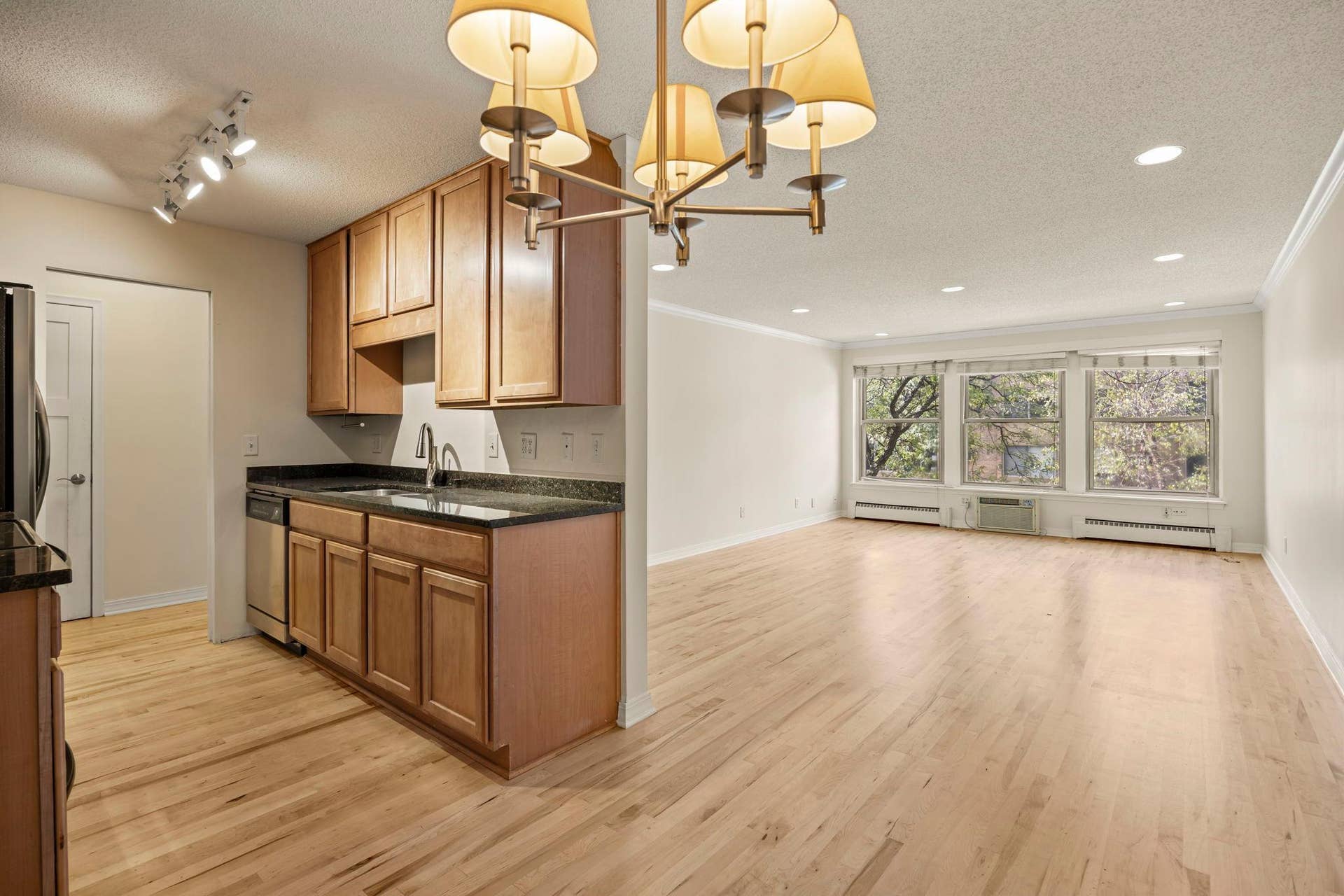 821 Douglas Avenue, #204, 46, Minneapolis, MN 55403