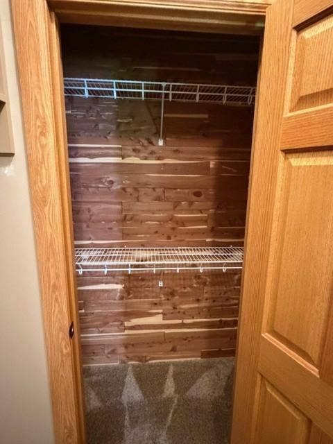 4235 4th Street S, Saint Cloud, MN 56301 35 primary cedar closet inside walk in closet.jpg