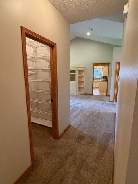 4235 4th Street S, Saint Cloud, MN 56301 27 hallway storage closet with built in shelving.jpg