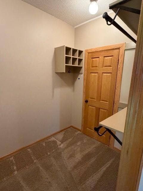 4235 4th Street S, Saint Cloud, MN 56301 34 primary walk in closet.jpg