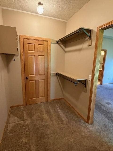 4235 4th Street S, Saint Cloud, MN 56301 36 primary walk in closet.jpg