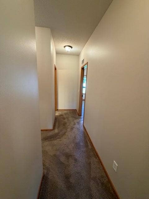 4235 4th Street S, Saint Cloud, MN 56301 44 hallway from primary to main bath on left and second bedroom on right.jpg