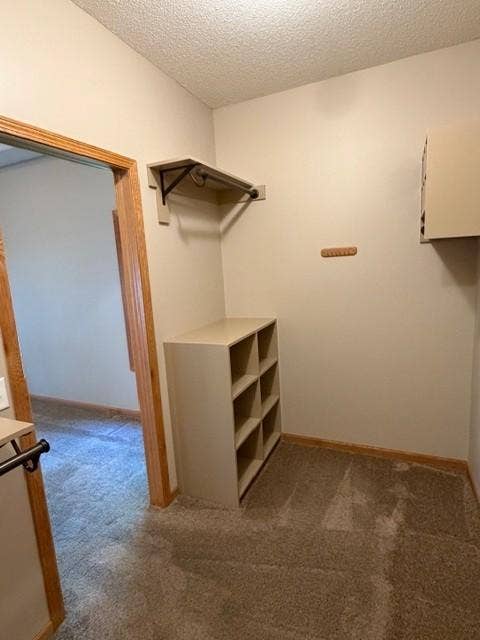 4235 4th Street S, Saint Cloud, MN 56301 37 primary walk in closet.jpg