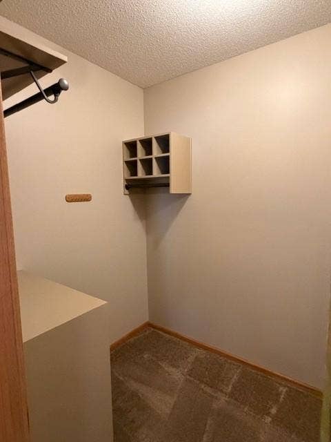 4235 4th Street S, Saint Cloud, MN 56301 33 primary walk in closet.jpg