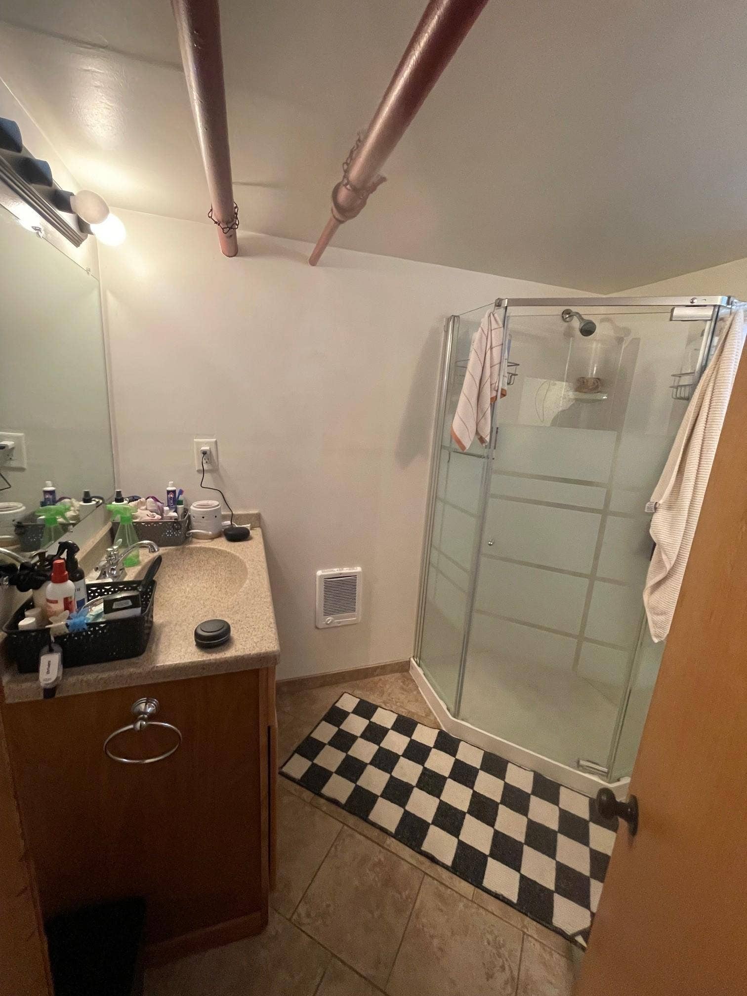 1609 Basement Bathroom.jpg