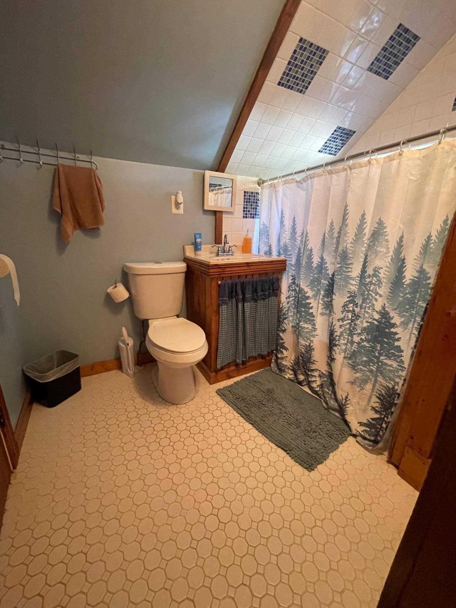 201 Melby Lane SW, Wilton, MN 56601 201 Melby 18.jpeg