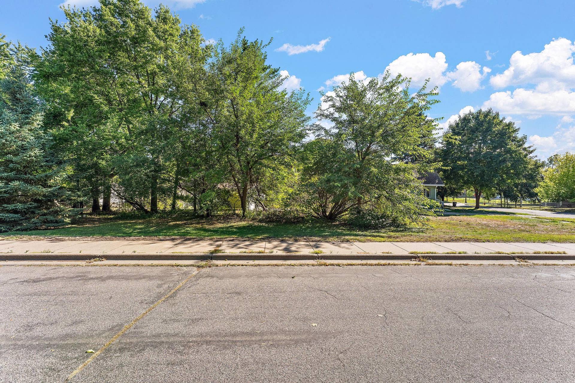 Mature trees that cover your home for beautiful views and privacy