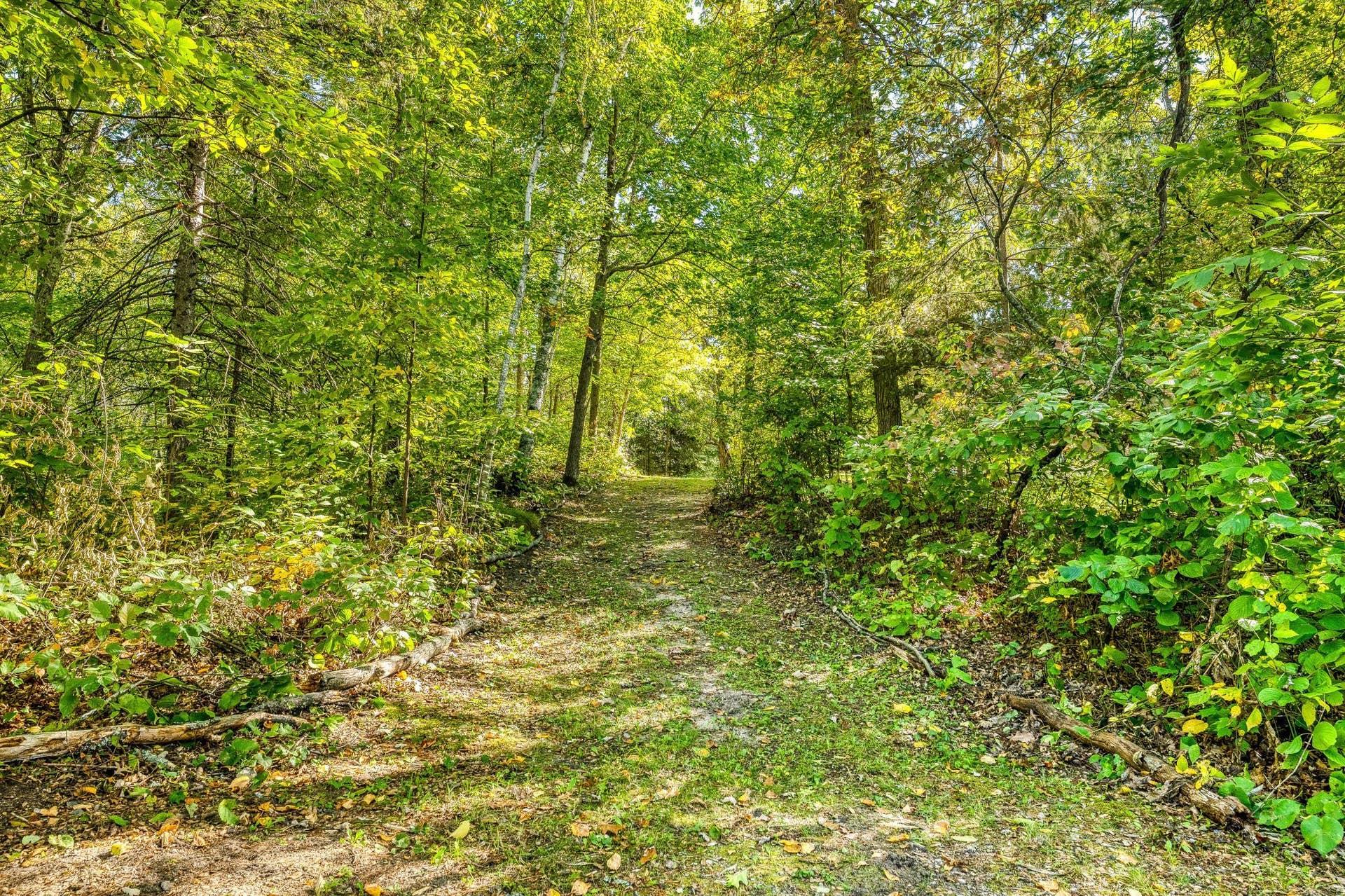 5150 Sherman Drive NE, Bemidji, MN 56601 Trail