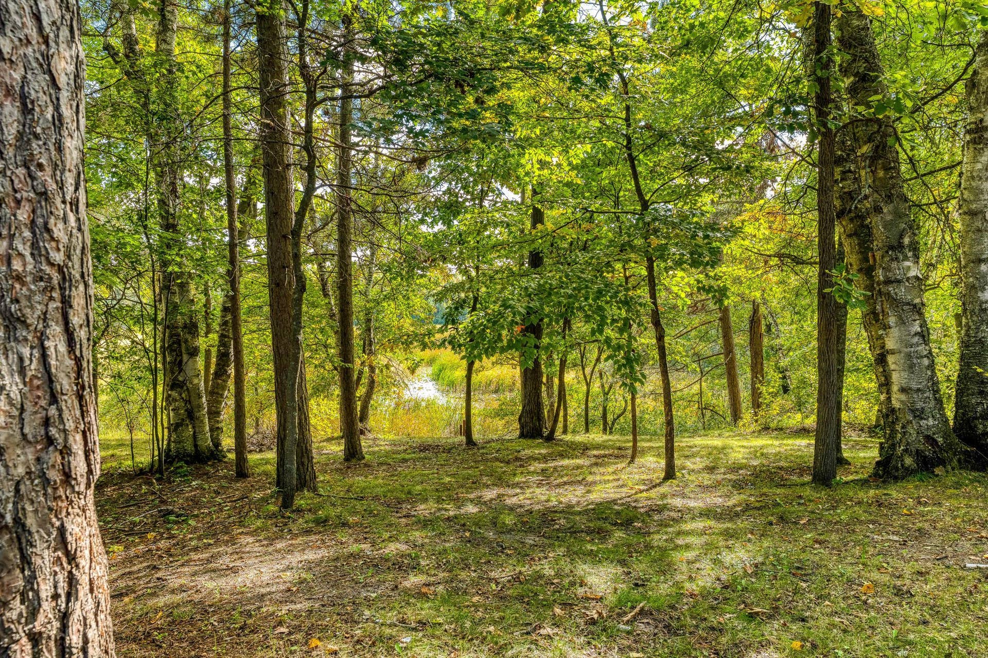 5150 Sherman Drive NE, Bemidji, MN 56601 Backyard 1