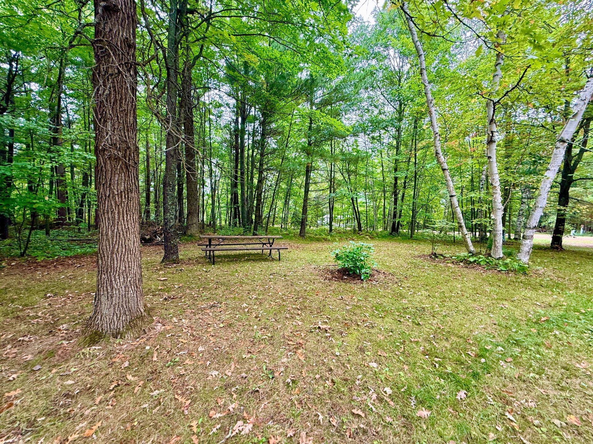 9446 Pony Lake Road NW, Bemidji, MN 56601 Front yard