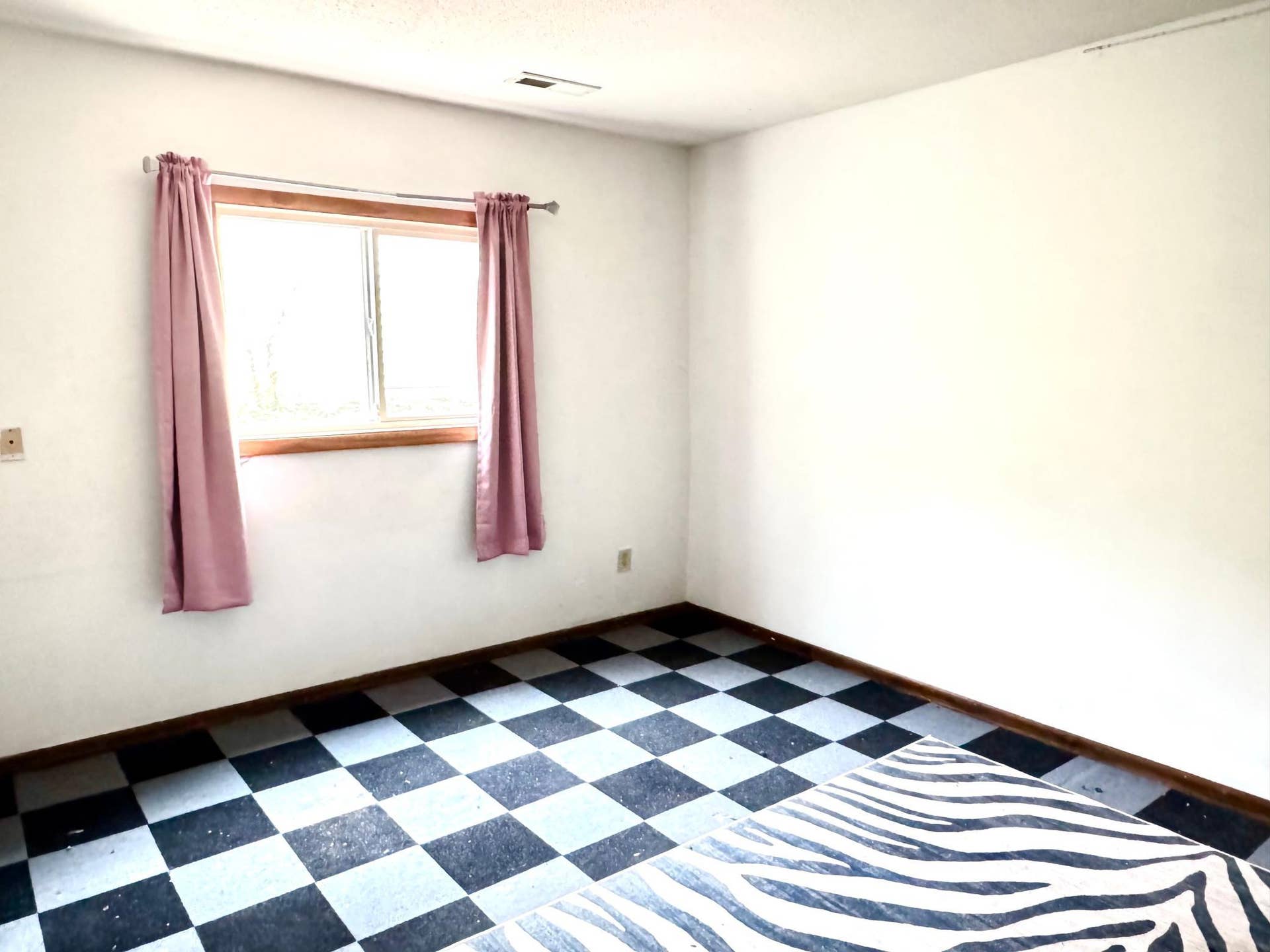10498 Yorktown Lane N, Maple Grove, MN 55369 Basement 2nd bedroom.jpeg