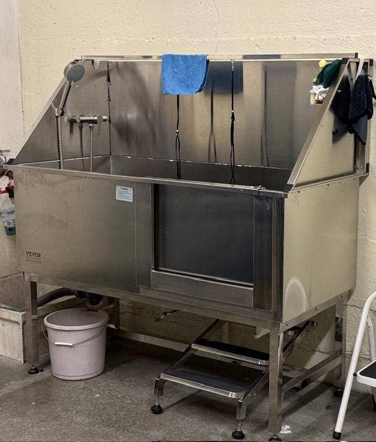 Deluxe dog washing station