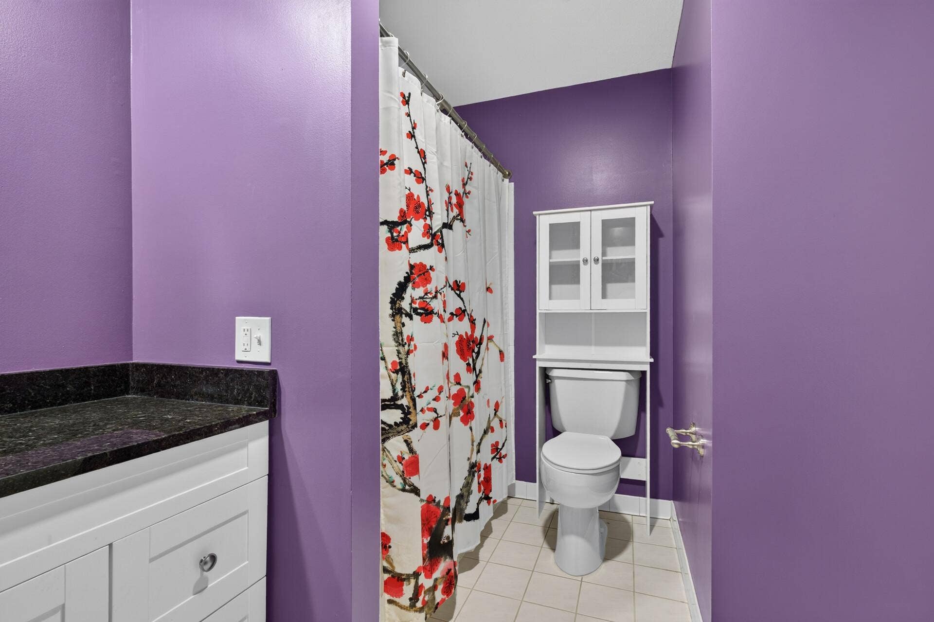 11037 104th Place N, Maple Grove, MN 55369 11037 104th Place N, Maple Grove, MN 55369
