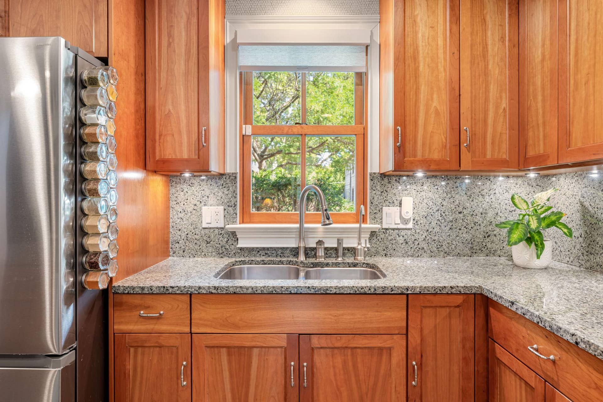 82 Leech Street, 103, Saint Paul, MN 55102