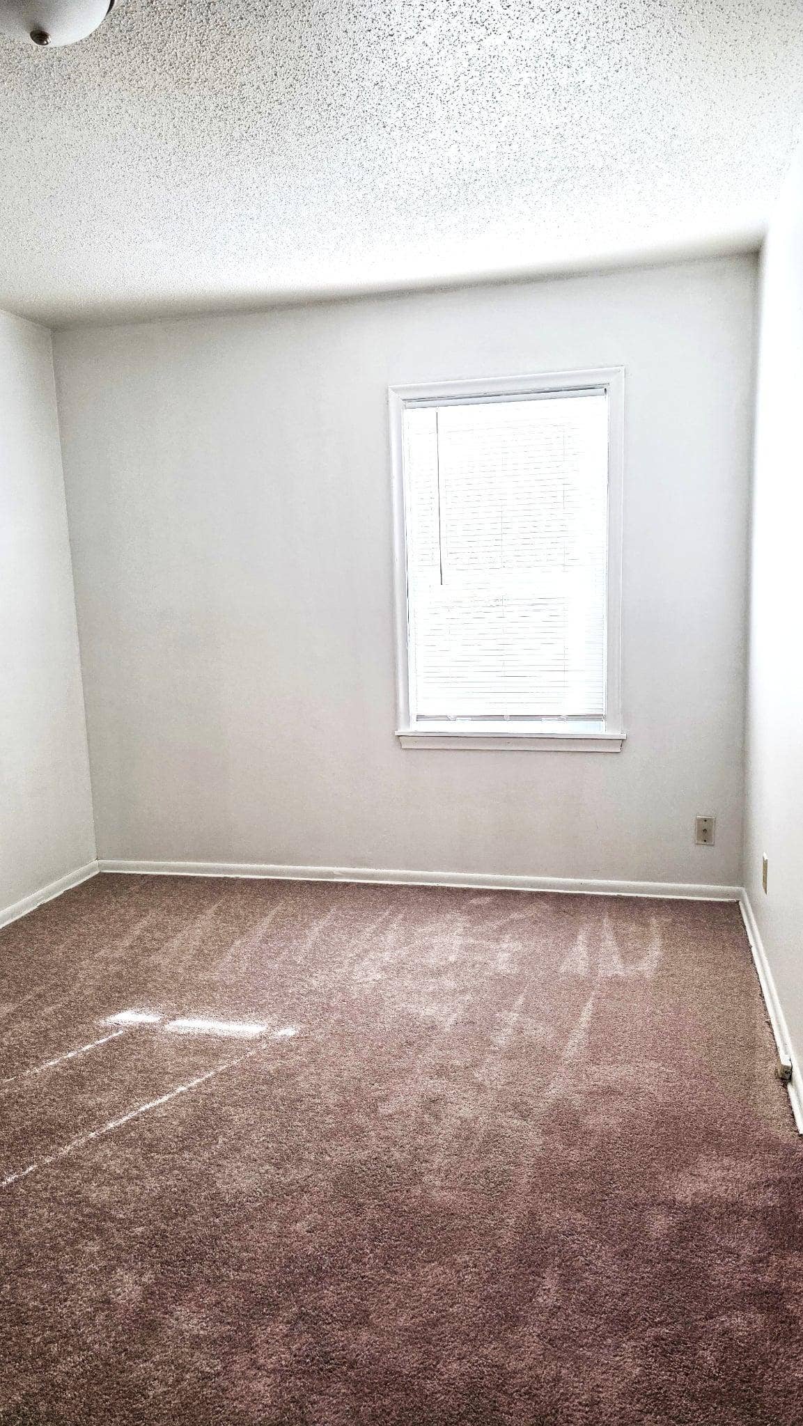 2806 Emerson Avenue N, 31, Minneapolis, MN 55411 2806 Emerson 9.jpg