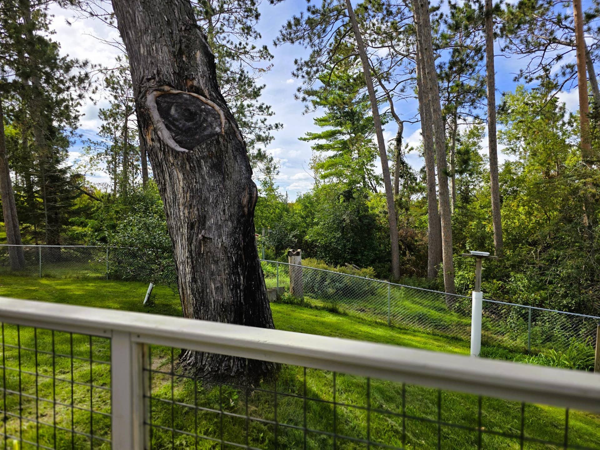 4405 Birchmont Drive NE, Bemidji, MN 56601 20260920_142317.jpg