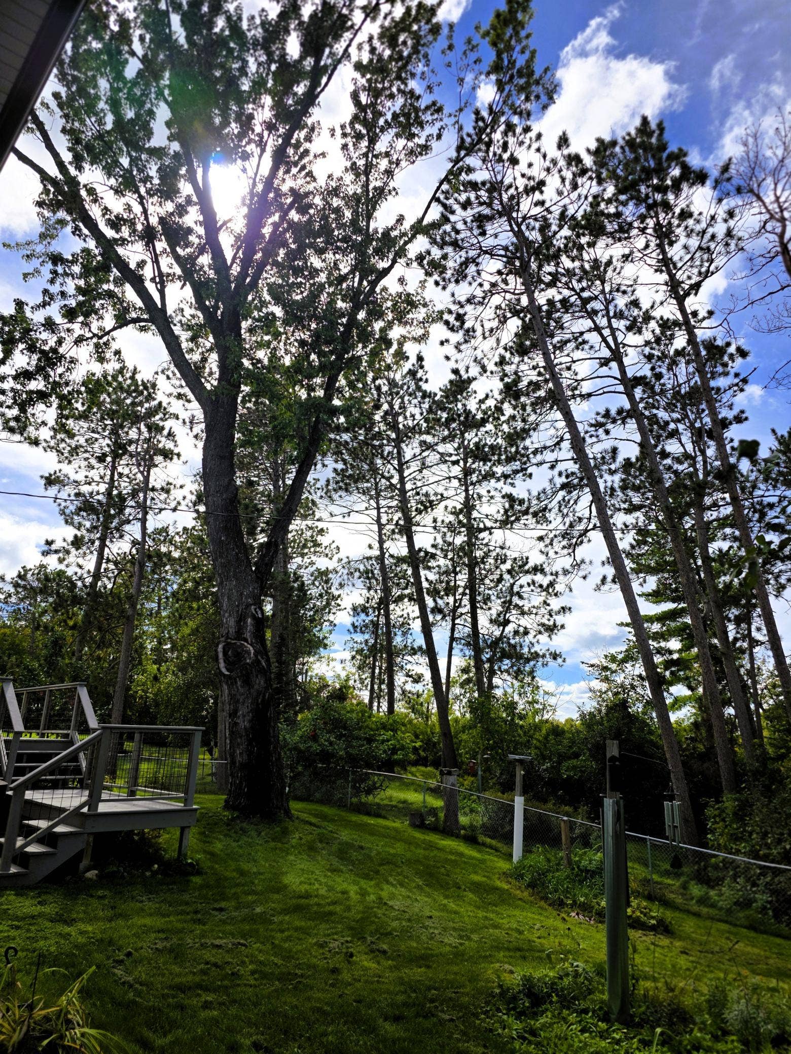 4405 Birchmont Drive NE, Bemidji, MN 56601 20260920_142539.jpg