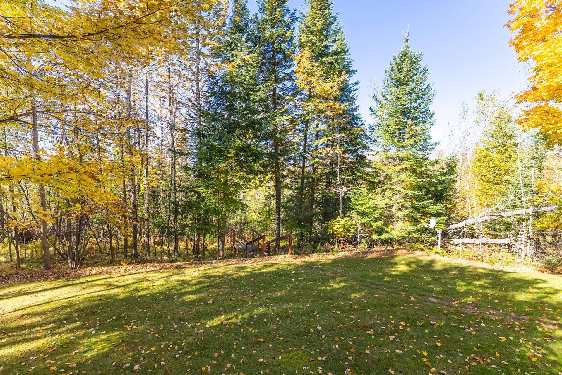 50185 219th Avenue, Bemidji, MN 56601 219th - Fall Colors-10.jpg