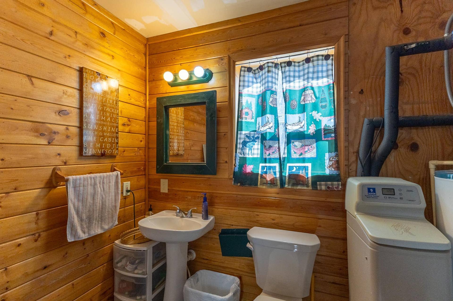 50185 219th Avenue, Bemidji, MN 56601 Plantangenet - Lake Cabin-12.jpg