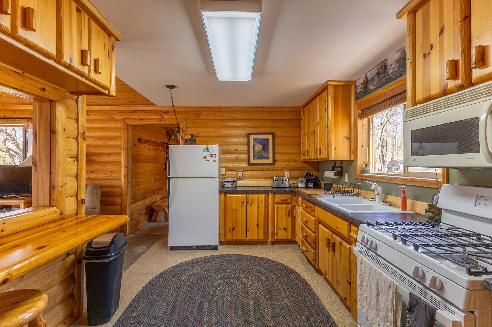 50185 219th Avenue, Bemidji, MN 56601 Plantangenet - Lake Cabin-10.jpg