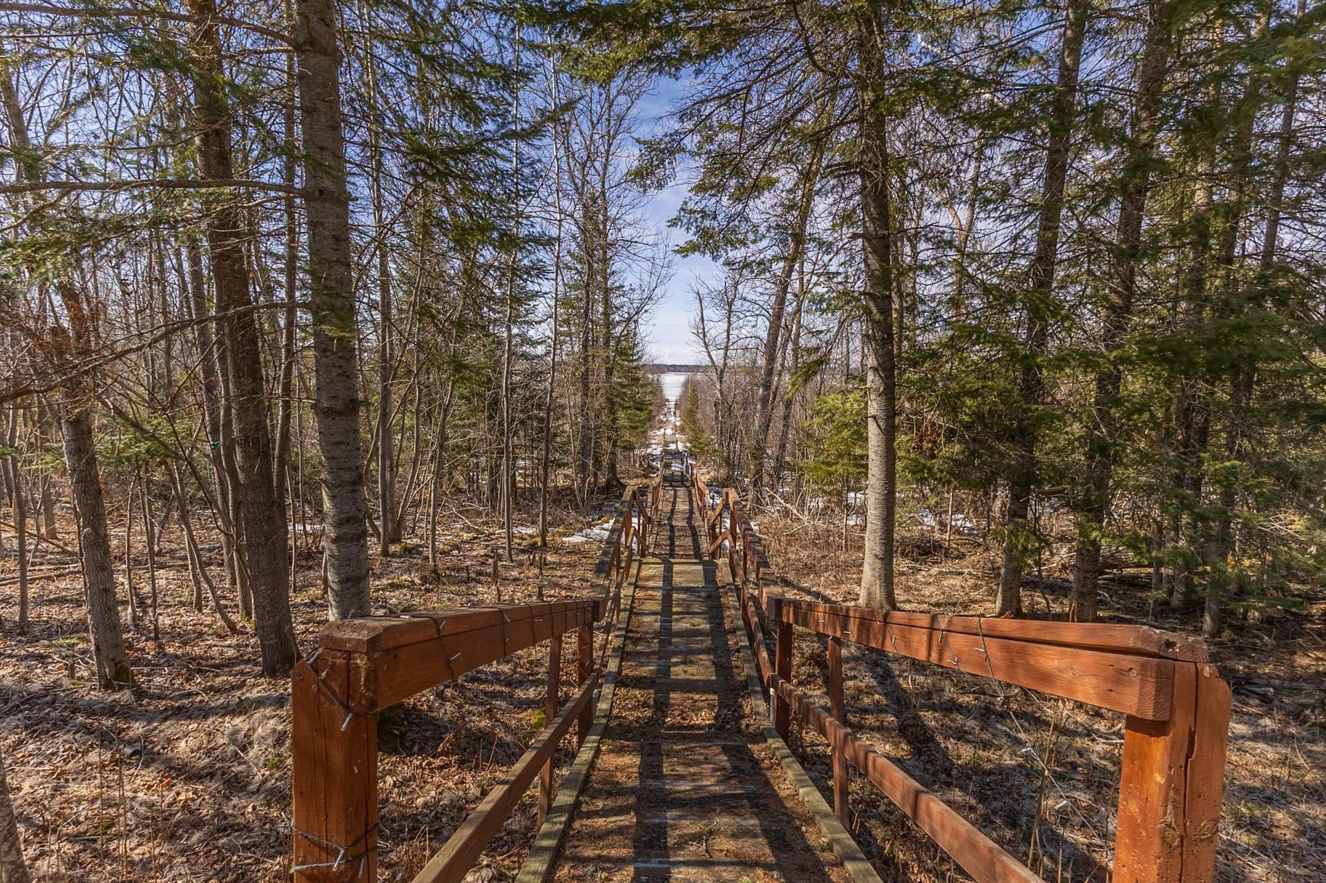 50185 219th Avenue, Bemidji, MN 56601 Plantangenet - Lake Cabin-3.jpg