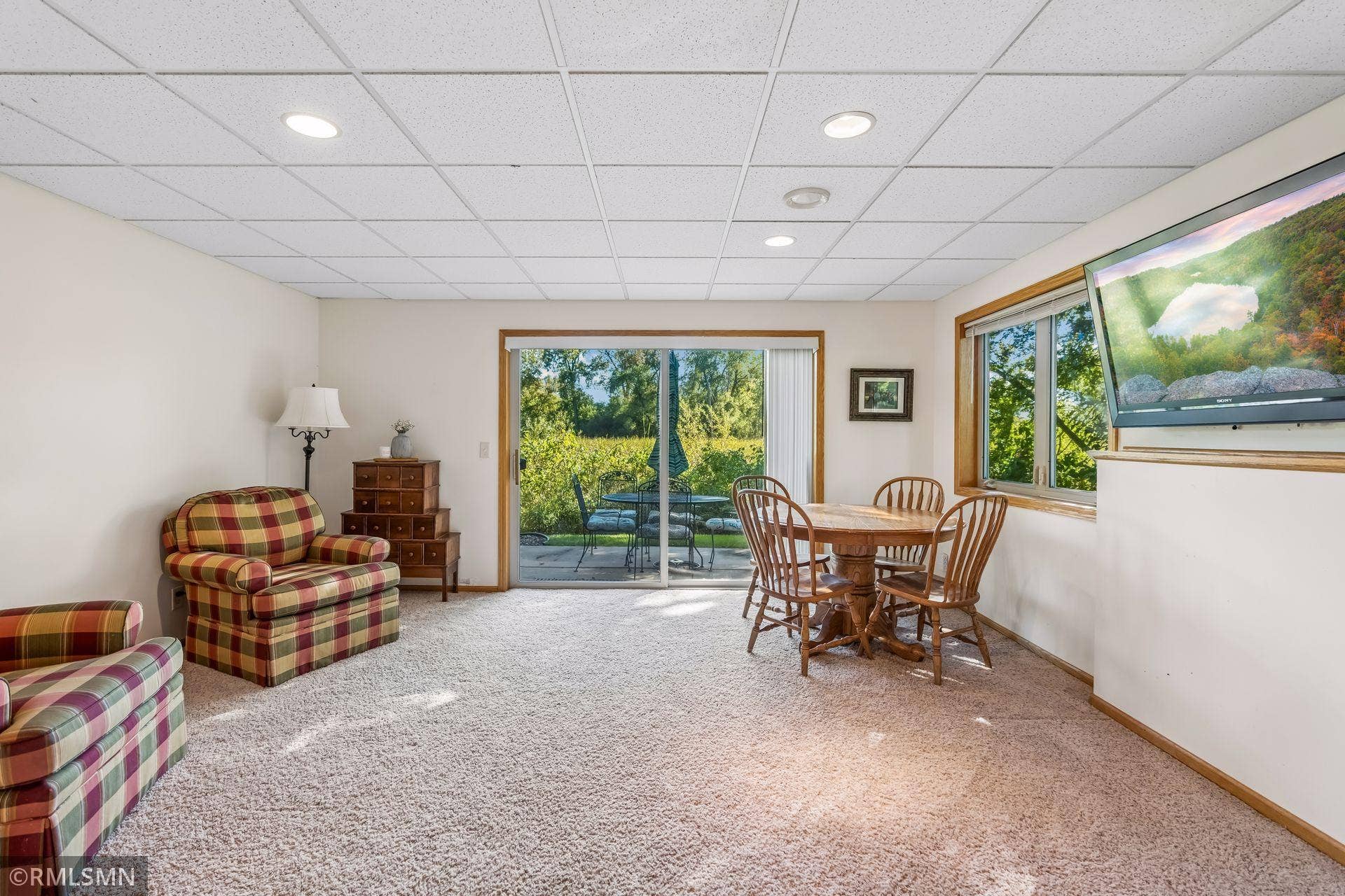 Lower level Livingroom